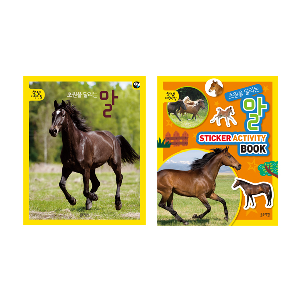 생생자연관찰-08.초원을 달리는 말 세트