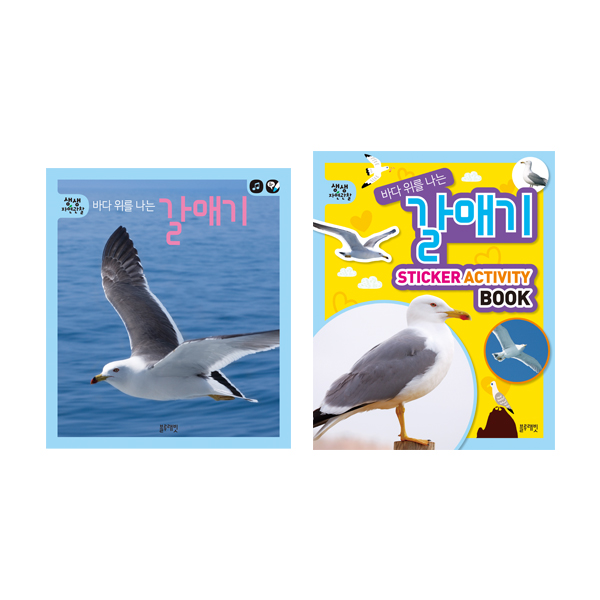 생생자연관찰-25.바다 위를 나는 갈매기 세트